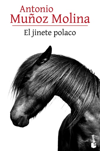 [9788432229534] El jinete polaco