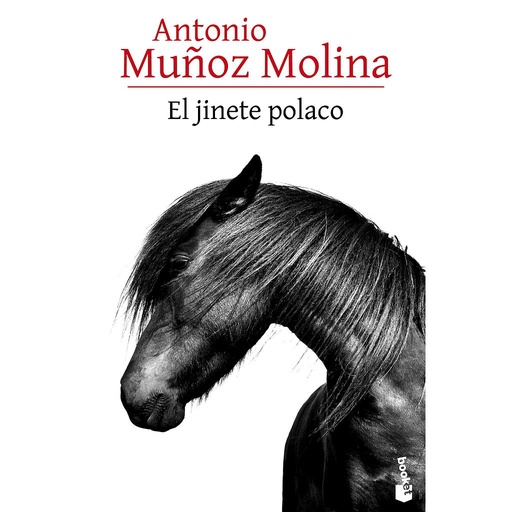 [9788432229534] El jinete polaco