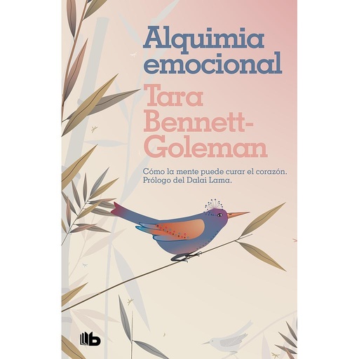 [9788413141312] Alquimia emocional