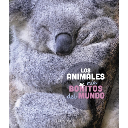 [9788419436177] Los animales más bonitos del mundo